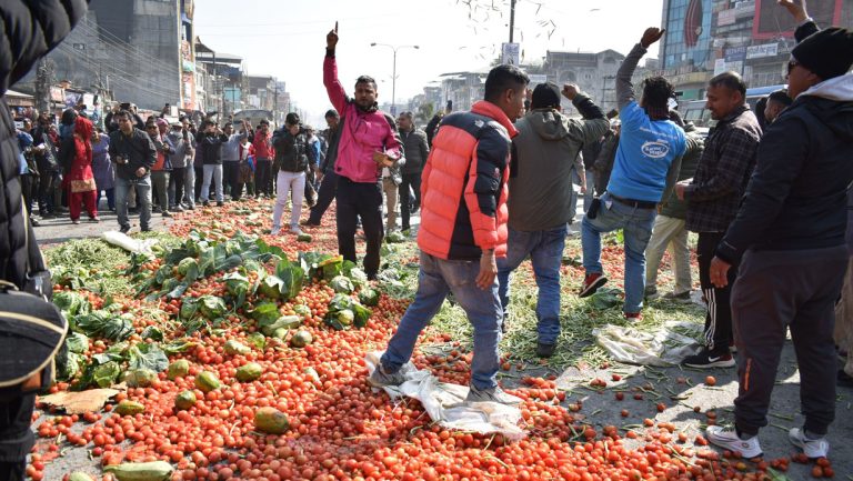 लागत अनुसारको मूल्य नपाएपछि सडकमै तरकारी फ्याँकेर विरोध