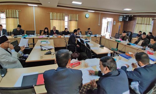 महाअभियोगलाई राजनीतिक हतियार बन्न नदिने उपायको खोजी