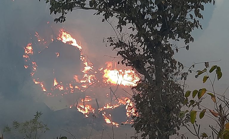 जंगलको आगो वस्तीमा पस्दा २ घर जले