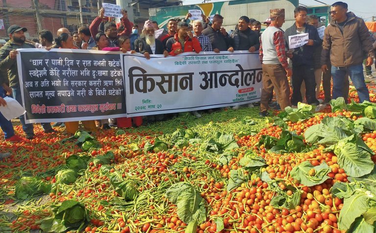 १८ रुपैयाँ खर्चेर उब्जाएको तरकारी ७ रुपैयाँमा बेच्दैछन् किसान