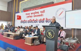 एमाले दक्षिणपन्थी, माओवादीले सत्ता स्वार्थका लागि जे पनि गर्छ : माधव नेपाल