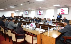 प्रधानमन्त्रीको निर्देशन : बजार अनुगमन गर्नुस्, राजश्व छली रोक्ने कदम चाल्नुस्