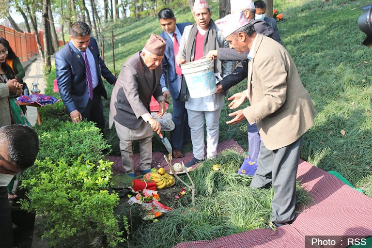 वनकालीमा नागचम्पाको बिरुवा रोपे राष्ट्रपति पौडेलले