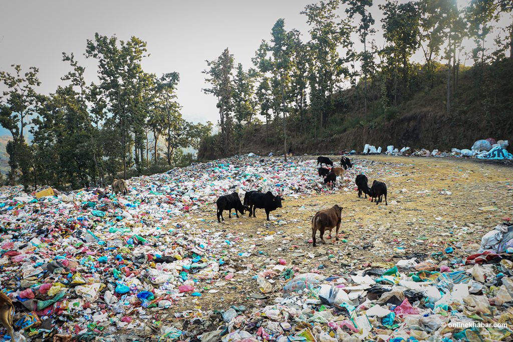 विश्व वातावरण दिवस र प्लाष्टिक प्रदूषण