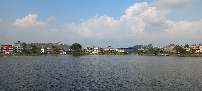 सफा पानी नपाएर मर्छन् टौदहका माछा