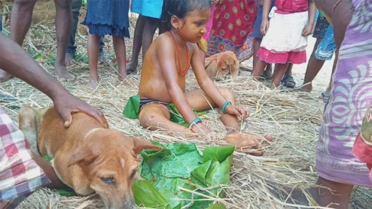 अनौठो अन्धविश्वास : २ बच्चाको कुकुरसँग बिहे, गाउँभरीलाई भोज !