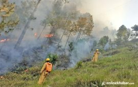 प्रि-मनसुनको प्रभाव : चैतमा डढेलोका घटना ह्वात्तै घट्यो