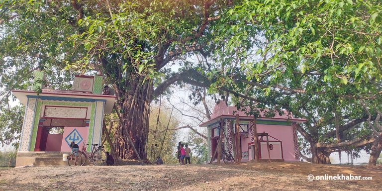 थारू जातिको ऐतिहासिक थान पोखरी संरक्षणमा ‘बेवास्ता’