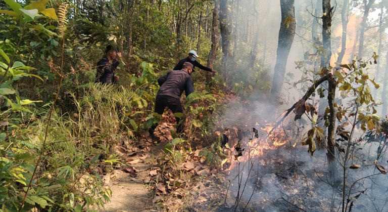 जङ्गलको आगो घरमा सल्कियो, एक अशक्त युवकको मृत्यु