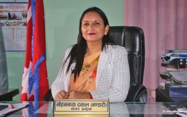 वीरेन्द्रनगर नगरपालिका