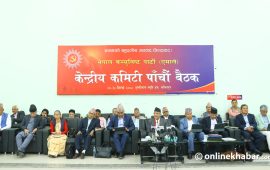 एमालेको निष्कर्ष : पार्टीलाई पुनर्जीवन, अर्को चुनावको तयारी