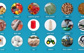 आलु, प्याज र स्याउमा पनि लाग्यो भ्याट, १३ प्रतिशत महँगिने (इन्फोग्राफसहित)