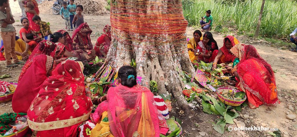 मिथिलाञ्चलका महिलाले आज बरसाइत पर्व मनाइँदै