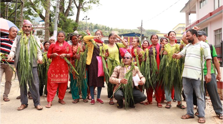 बाँदर आतंक रोक्न माग राख्दै धादिङका किसान आन्दोलित, मागे कृषिमन्त्रीको राजीनामा