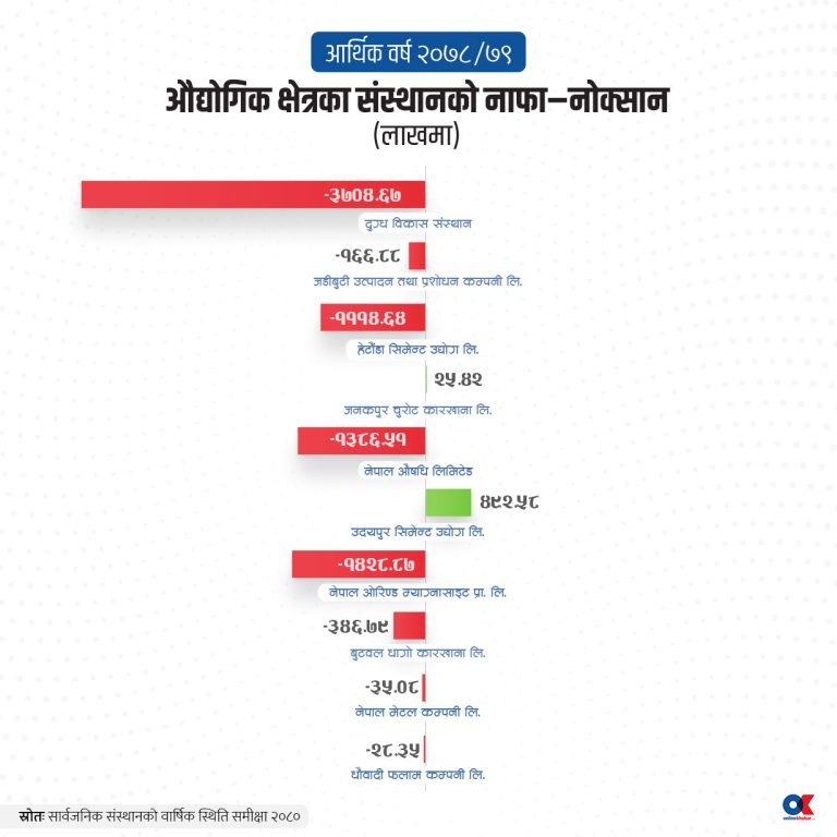 सरकारी औद्योगिक क्षेत्रका १० मध्ये ८ संस्थान घाटामा