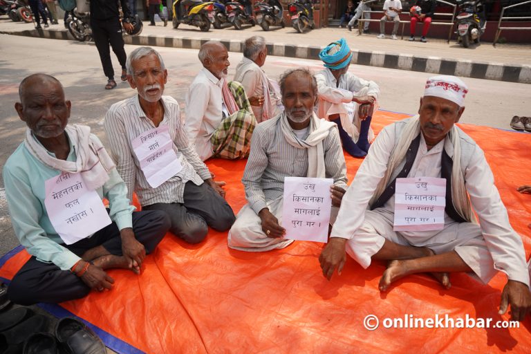 कनोडियाले खाएको अनुदान उठाउन उखु किसान ७ दिनदेखि आन्दोलनमा