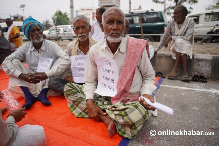 अनुदान रकम माग्दै काठमाडौंमा उखु किसान, भन्छन्– माग पूरा नभएसम्म आन्दोलन छाड्दैनौं