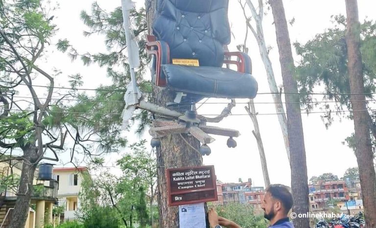 भक्तपुर क्याम्पसमा विवाद : नयाँ क्याम्पस चिफको कुर्सी र नेमप्लेट रुखमा