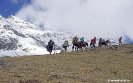 दक्ष ट्रेकिङ गाइड सधैं अभाव