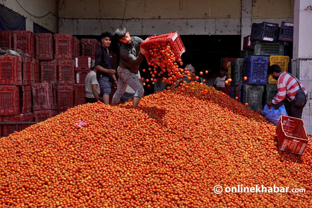 सडकमा गोलभेंडा फालेर मूल्य बढाउने खेल