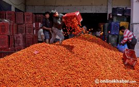 सडकमा गोलभेंडा फालेर मूल्य बढाउने खेल