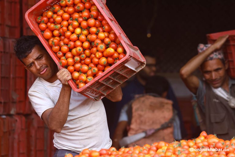 गोलभेँडा भाउ होलसलमै किलोको १२०