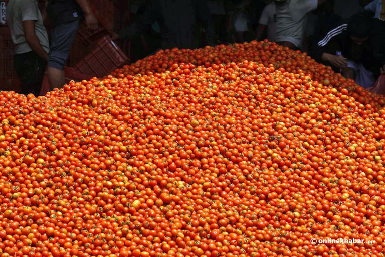 गोलभेँडाको थोक मूल्य प्रतिकिलो ६ रुपैयाँ