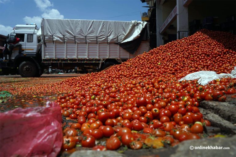 भारतले नेपाली गोलभेंडा आयातमा लगाएको प्रतिबन्ध हटायो