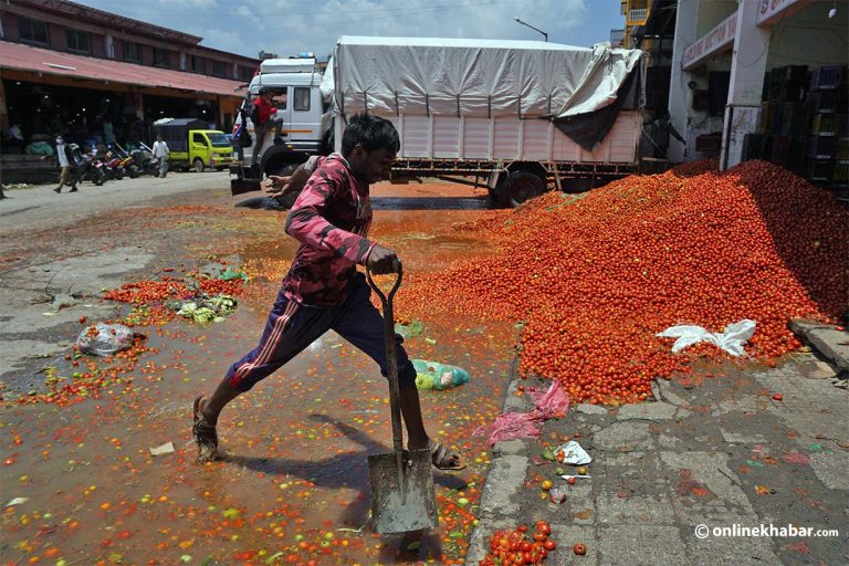 भारतबाट गोलभेंडा भित्रिएकै कारण नेपाली उत्पादनले मूल्य नपाएको हो ?