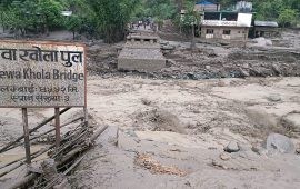 बाढीपहिरो