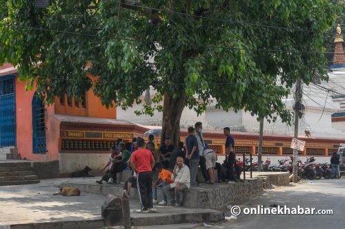 सन् २०२४ को गर्मी यो युगकै उच्च