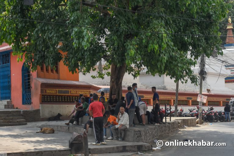 सन् २०२४ को गर्मी यो युगकै उच्च