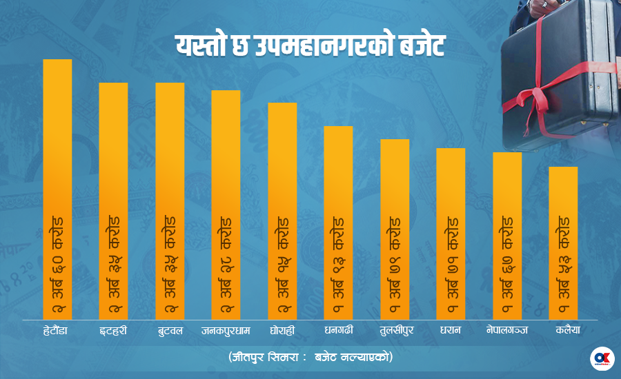 १० उपमहानगरको बजेट : सामाजिक विकासमा केन्द्रित