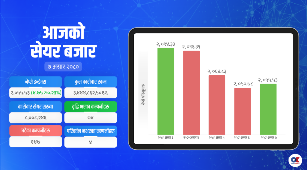 नेप्सेमा झिनो वृद्धि, तर होटलमा लगानीकर्ताको आकर्षण, हाइड्रोपावरले गुमाए