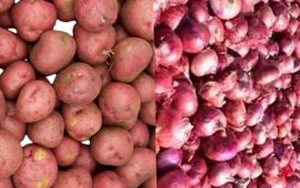 दोब्बर बढ्यो आलु र प्याज आयात