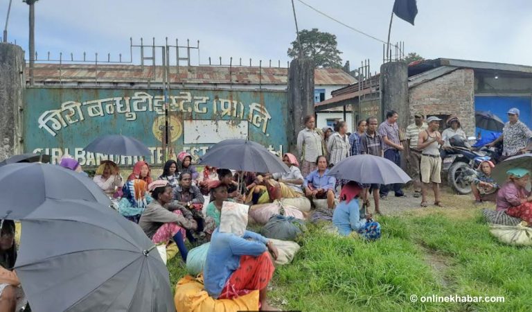 अंशियारको जग्गा समेत कब्जा गरी गिरीबन्धु टी इस्टेटको ५०० बिघा जग्गा बेच्ने छत्र गिरीको प्रपञ्च