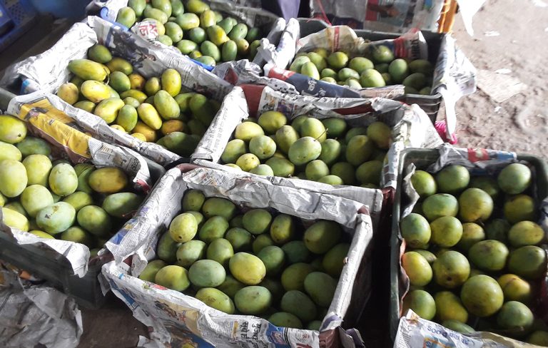 एक वर्षमै ७० करोड ७३ लाखको आँप र अम्बा आयात