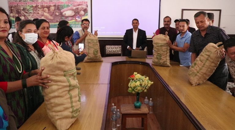 मालिकाको रैथाने आलु ब्राण्डिङसहित बजारमा 