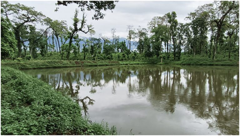 वन्यजन्तुका लागि सामुदायिक वनमा पोखरी