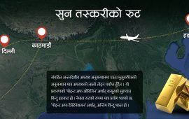 संगठित अपराध, तर राजस्व चुहावटमा मात्र अनुसन्धान