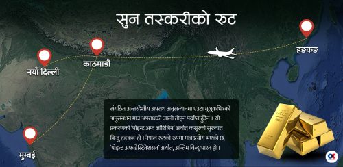 संगठित अपराध, तर राजस्व चुहावटमा मात्र अनुसन्धान