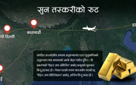 संगठित अपराध, तर राजश्व चुहावटमा मात्र अनुसन्धान