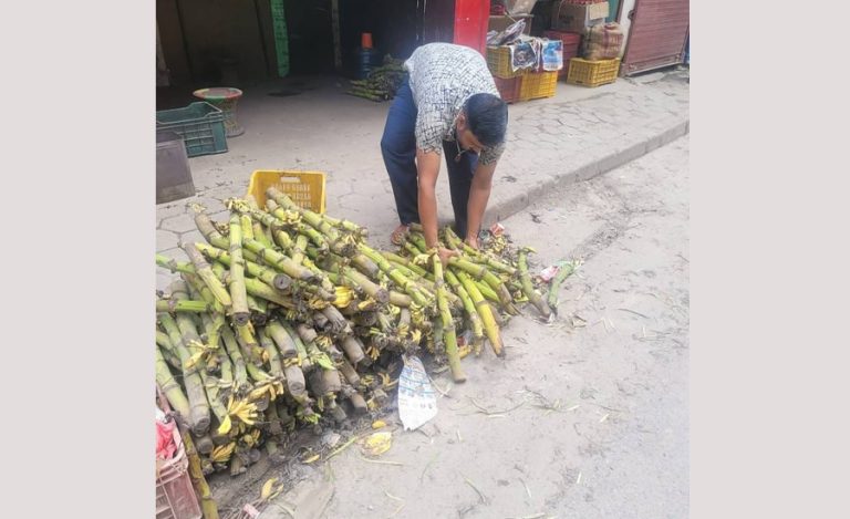 जथाभावी फोहोर फाल्नेलाई महानगरले गर्‍यो कारबाही