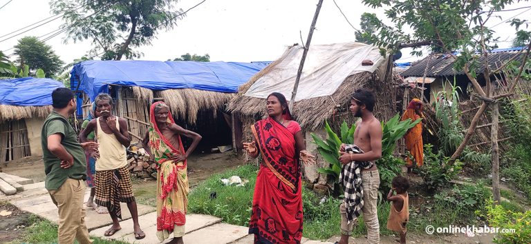 उठीबासको त्रासमा सडक छेउका मुसहर परिवार