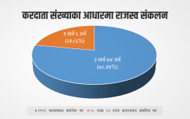 ०.०५ प्रतिशत करदाताले तिर्छन् ८० प्रतिशत राजस्व