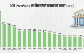आधा दर्जन बैंक लाभांश बाँड्न नसक्ने अवस्थामा, मर्जर भएका बैंकको अवस्था निराशाजनक
