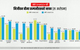 निर्जीवन बीमा कम्पनीहरुले ५ अर्ब नाफा कमाए, सरकारी कम्पनीको दोब्बर