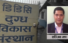 डीडीसीको बदमासी : आफ्नो व्यापार हाताहाती, किसानलाई महिनौं उधारो