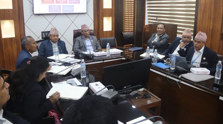 एचआईडीसीएल थप सबल बन्नुपर्छ : ऊर्जामन्त्री