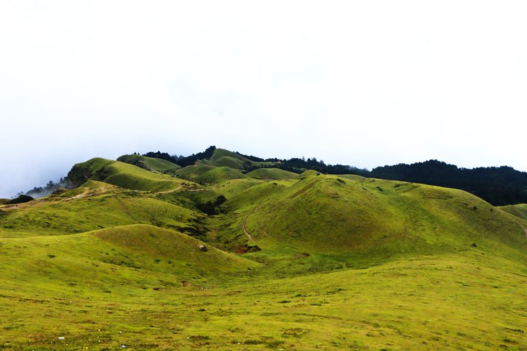 शैलुङलाई एकफन्को मार्दा